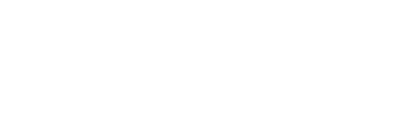 Bicom Systems